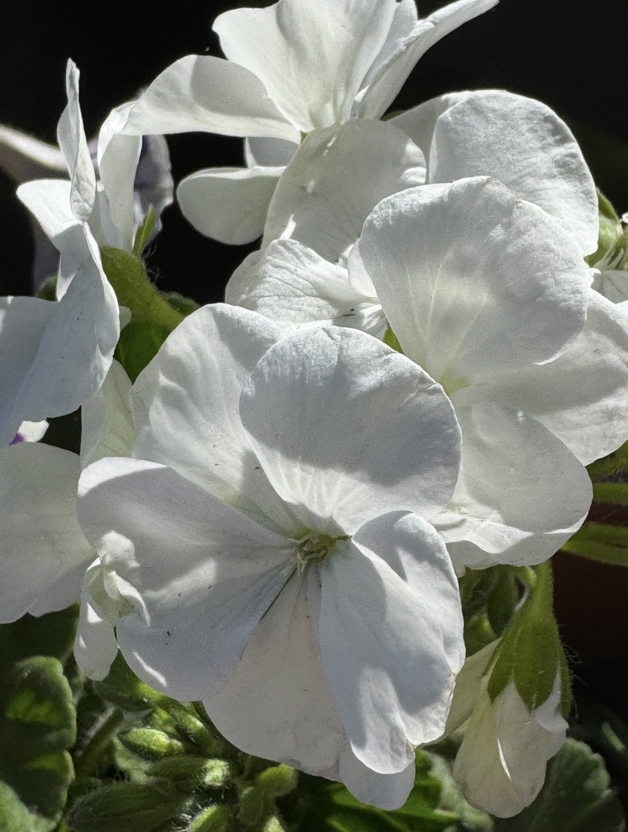 Moments of gratitude on this Memorial Day